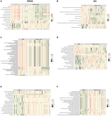 Identification of novel pathways and immune profiles related to sarcopenia